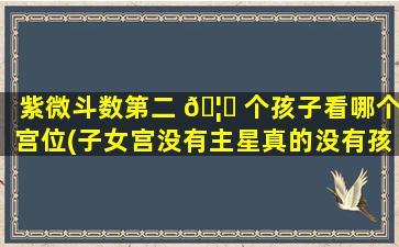 紫微斗数第二 🦉 个孩子看哪个宫位(子女宫没有主星真的没有孩子 🌵 吗)